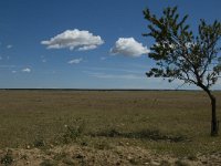 Steppe