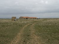 F, Bouches-du-Rhone, Saint-Martin-de-Crau, Peau de Meau 59, Saxifraga-Willem van Kruijsbergen