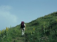 A, Vorarlberg, Dornbirn, Moerzelspitze 2, Saxifraga-Jan van der Straaten