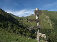 F, Ariege, Seix, Col de Pause 6, Saxifraga-Willem van Kruijsbergen