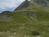 F, Ariege, Seix, Port d Aula 15, Saxifraga-Willem van Kruijsbergen