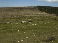 F, Lozere, Le Pont-de-Monvert, Finiels 57, Saxifraga-Marijke Verhagen