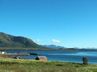 N, Nordland, Sortland 2, Saxifraga-Hans Dekker