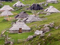 SLO, Osrednjeslovenska, Kamnik, Velika Planina Kamnik 4, Saxifraga-Hans Dekker