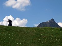 CH, Graubuenden, Scuol, Motta Naluns 4, Saxifraga-Hans Dekker