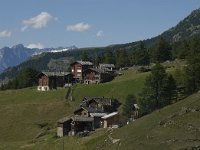 CH, Wallis, Saas Grund, Tewald 3, Saxifraga-Willem van Kruijsbergen