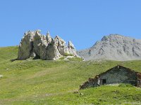 F, Savoie, Val-Cenis, Parc national de la Vanoise near Bellecombe 14, Saxifraga-Tom Heijnen