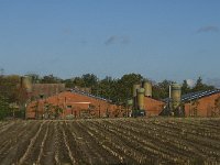 B, Limburg, Kinrooi, Basdonk 18, Saxifraga-Jan van der Straaten