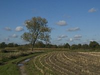 B, Limburg, Kinrooi, Zuurbeekvallei 2, Saxifraga-Jan van der Straaten