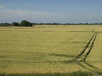 D, Schleswig-Holstein, Nordstrand, Dreisprung 19, Saxifraga-Jan van der Straaten