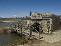 E, Tarragona, Deltebre, Canal Vell 7, Saxifraga-Marijke Verhagen