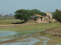 E, Tarragona, Deltebre, la Tancada 3, Saxifraga-Jan van der Straaten