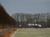 NL, Drenthe, Dwingeloo, Batinge 1, Saxifraga-Hans Dekker