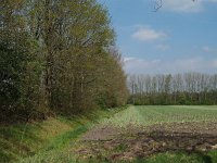 NL, Drenthe, Midden-Drenthe, Balinge 3, Saxifraga-Hans Dekker