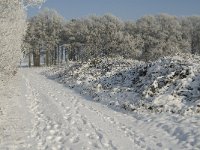 NL, Noord-Brabant, Alphen-Chaam, Bleeke Heide 1, Saxifraga-Jan van der Straaten