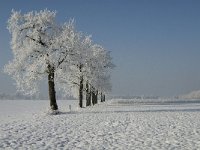 NL, Noord-Brabant, Alphen-Chaam, Bleeke Heide 2, Saxifraga-Jan van der Straaten