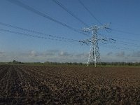 NL, Noord-Brabant, Altena, Middelste Kievitswaard 2, Saxifraga-Jan van der Straaten