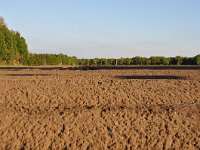 NL, Noord-Brabant, Reusel-De Mierden, NE of Hulsel 1, Saxifraga-Tom Heijnen