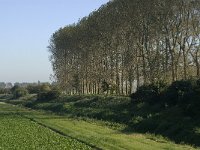 NL, Noord-Brabant, Steenbergen, Vlietdijk 2, Saxifraga-Marijke Verhagen