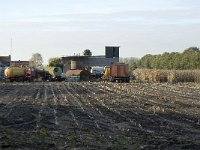 NL, Noord-Brabant, Valkenswaard, De Plateaux 17, Saxifraga-Jan van der Straaten