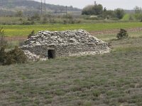 F, Drome, Ferrassieres 1, Saxifraga-Willem van Kruijsbergen