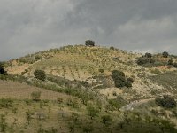 E, Granada, Cadiar 16, Saxifraga-Willem van Kruijsbergen