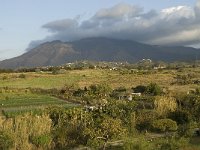 E, Malaga, Estepona 2, Saxifraga-Willem van Kruijsbergen