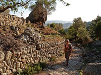 E, Mallorca, Alaro 6, Saxifraga-Hans Dekker