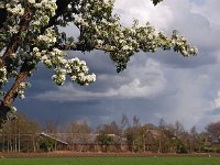 NL, Drenthe, De Wolden, Ruinerwold 4, Saxifraga-Hans Dekker