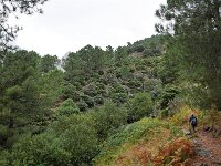 E, Avila, Guisando, Galayos valley 21, Saxifraga-Tom Heijnen