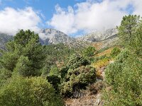 E, Avila, Guisando, Galayos valley 3, Saxifraga-Tom Heijnen