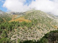 E, Avila, Guisando, Galayos valley 4, Saxifraga-Tom Heijnen