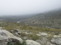 E, Avila, Hoyos del Espino 10, Saxifraga-Willem van Kruijsbergen