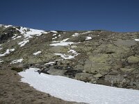 E, Avila, San Juan de Gredos, Senda de la Laguna Grande 24, Saxifraga-Willem van Kruijsbergen