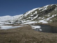 E, Avila, San Juan de Gredos, Senda de la Laguna Grande 25, Saxifraga-Willem van Kruijsbergen