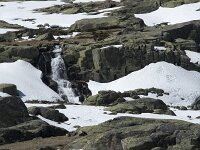 E, Avila, San Juan de Gredos, Senda de la Laguna Grande 27, Saxifraga-Willem van Kruijsbergen