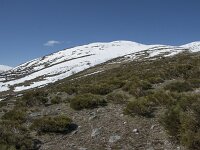 E, Avila, San Juan de Gredos, Senda de la Laguna Grande 13, Saxifraga-Willem van Kruijsbergen