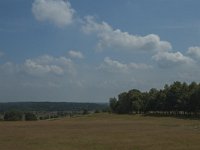 D, Niedersachsen, Schneverdingen, Wolfsberg 1, Saxifraga-Marijke Verhagen