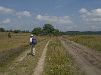 D, Niedersachsen, Schneverdingen, Wulfsberg 8, Saxifraga-Jan van der Straaten