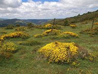 E, La Rioja, Ezcaray 6, Saxifraga-Hans Dekker