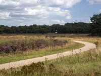 Jannie op Speulderveld