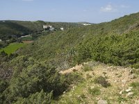 P, Faro, Vila do Bispo, Praia do Zavial 27, Saxifraga-Willem van Kruijsbergen