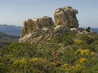 E, Girona, Cadaques, Cap de Creus 4, Saxifraga-Jan van der Straaten