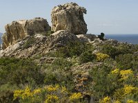 E, Girona, Cadaques, Cap de Creus 5, Saxifraga-Jan van der Straaten