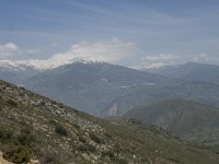 E, Granada, Orgiva, Sierra de Lujar, Olias 19, Saxifraga-Willem van Kruijsbergen