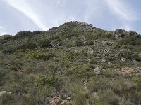 E, Granada, Orgiva, Sierra de Lujar, Olias 21, Saxifraga-Willem van Kruijsbergen