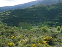 E, Teruel, Camarena de la Sierra 4, Saxifraga-Jan van der Straaten