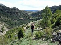 E, Teruel, Camarena de la Sierra, Javalambre 4, Saxifraga-Jan van der Straaten