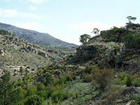 E, Teruel, Camarena de la Sierra, Javalambre 7, Saxifraga-Jan van der Straaten