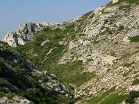 F, Bouches-du-Rhone, Saint Remy-de-Provence, Alpilles 14, Saxifraga-Dirk Hilbers